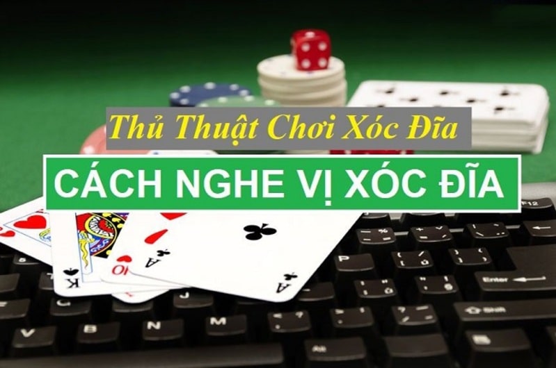 Kinh Nghiệm Cách Nghe Vị Xóc Đĩa Hay Và Chuyên Nghiệp Từ Chuyên Gia